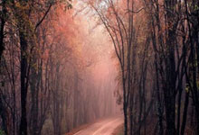 天涯论坛热帖大放送：聊聊那些脑洞大开的帖子