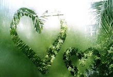 天涯社区：在人海中寻找共鸣