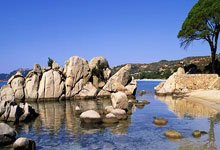 天涯论坛也可以云就业了？死守'铁饭碗'还是加入天涯职场社区的自由人？